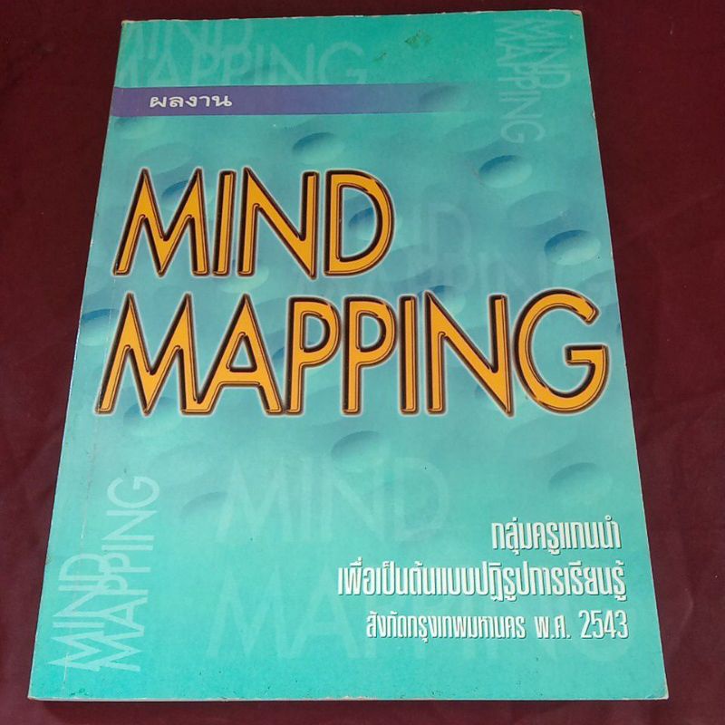 ผลงาน  MIND  MAPPING