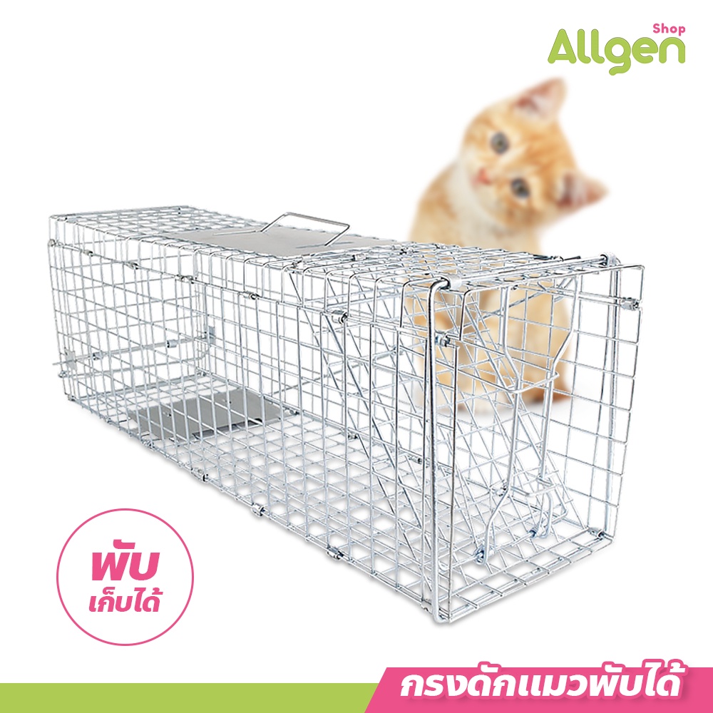 allgen กรงดักแมวพับได้ ไซส์ XL กรงเหล็กดักแมว ขนาดใหญ่
