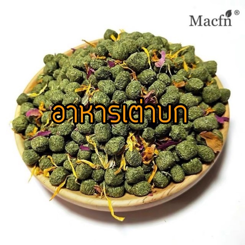 อาหารเต่าบก Macfn 1kg สูตรกระบองเพชร สูตรผลไม้รวม อาหารเต่าซูลคาต้า วัตถุดิบสด ใหม่ ไม่ปรุงแต่งกลิ่นเพิ่มเติม