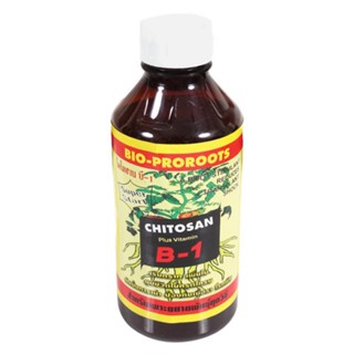 HomePro น้ำยาเพาะชำ CHITOSAN B-1 1,000 มล. แบรนด์ BISON