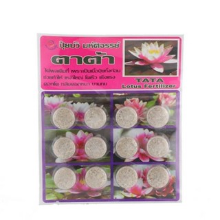 HomePro ปุ๋ยอนินทรีย์ TATA 10-25-20 แพ็ก 12 ชิ้น แบรนด์ ALDA