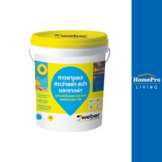 HomePro กาวยาแนว เวเบอร์คัลเลอร์ เอช อาร์ สีขาว แบรนด์ WEBER