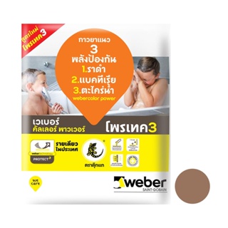 HomePro กาวยาแนว เวเบอร์คัลเลอร์ พาวเวอร์ 1 กก. สีน้ำตาลวู๊ด แบรนด์ WEBER