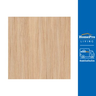 HomePro กระเบื้องพื้น 50X50 ซม. ซิลเวอร์ดราก้อน น้ำตาล แบรนด์ TARA