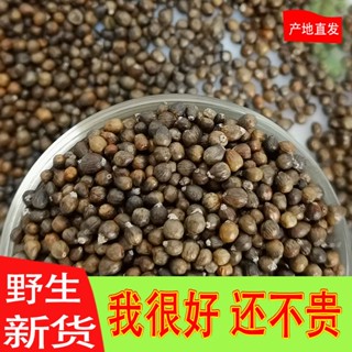 ◎Jingzi สีเหลืองป่าไม่สะดุ้งหมอนผ้า Jingren ทองเด็กหมอนผ้า Jingzi Jingseeds