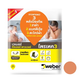 HomePro กาวยาแนว คัลเลอร์ พาวเวอร์ น้ำตาล แซนด์ 1 กก. แบรนด์ WEBER