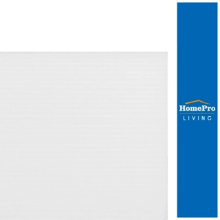 HomePro ฟิวเจอร์บอร์ด 130x245x0.3 ซม. สีขาว แบรนด์ แพลนบอร์ด