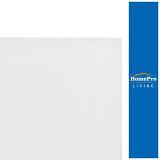 HomePro ฟิวเจอร์บอร์ด 130x245x0.3 ซม. สีขาว แบรนด์ แพลนบอร์ด