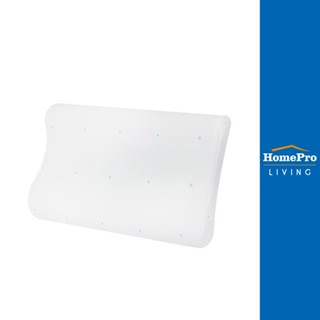 HomePro หมอนสุขภาพ MEMORY FOAM ANTIBAC DENIS แบรนด์ HLS