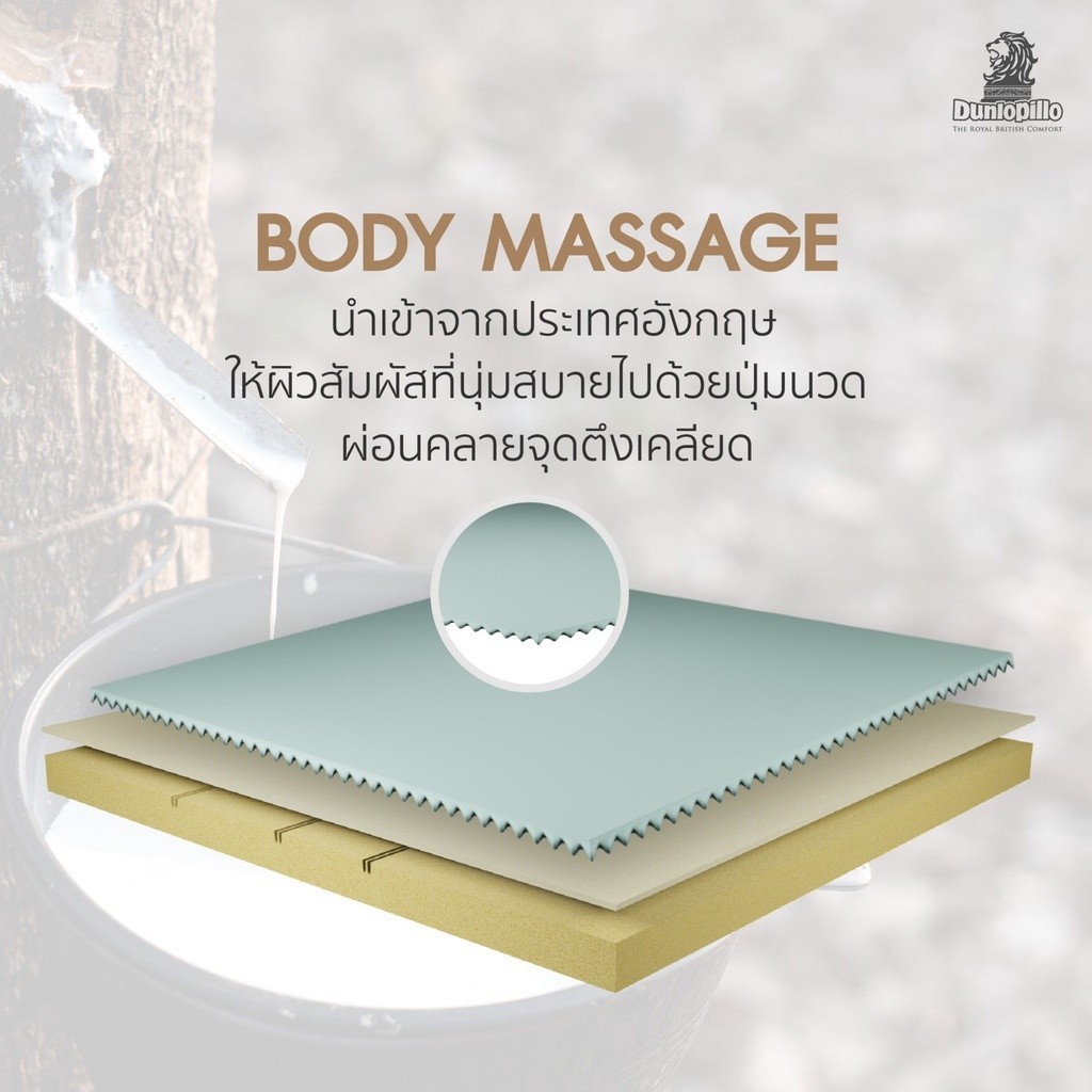 [ฟรี!ชุดผ้าปู] Dunlo