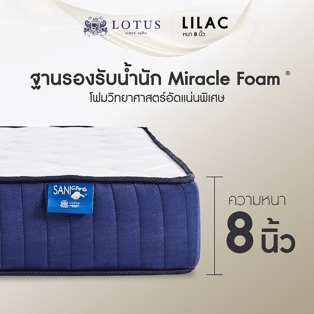 LOTUS ที่นอน (สเปคแน่นเป็นพิเศษ) รุ่น Lilac หนา 8 นิ้ว ฟรี หมอนหนุนสุขภาพกันไรฝุ่น ส่งฟรี