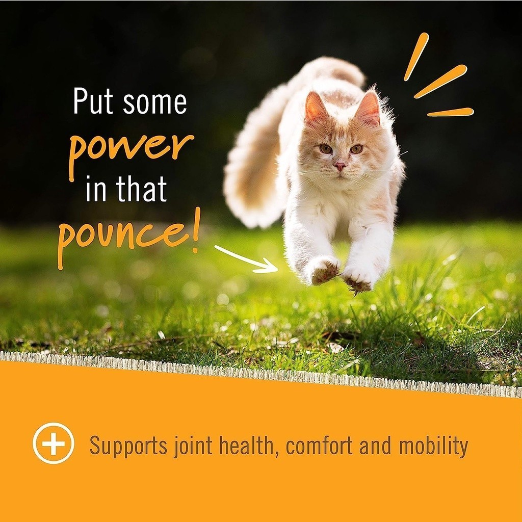 Hip Joint ข้อ เข่า 30ชิ้น ขา กะเผลก กระดูก เสริม บำรุง สะโพก เสื่อม ลุกไม่ขึ้น เจ็บ ปวด วิตามิน ขนม แมว Cat Pet Naturals - รูปที่ 5