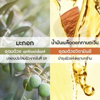 อีฟ โรเช Yves Rocher Olive & Petitgrain Hand Cream 30มล. ครีมทามือ กลิ่นโอลีฟ-เพทติเกรน บำรุงผิวมือนุ่ม ชุ่มชื้น