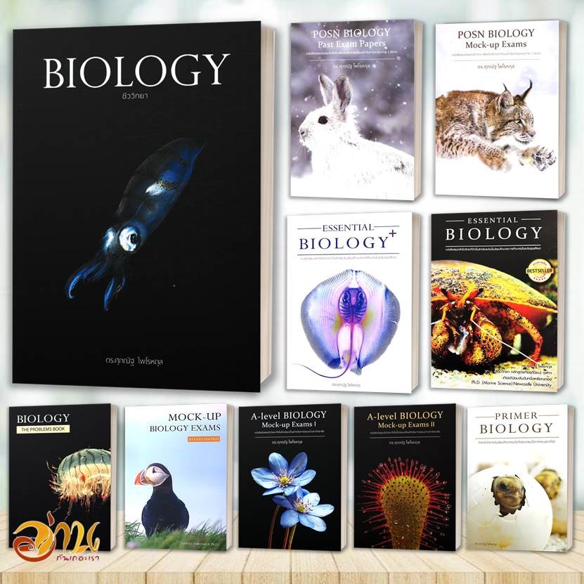 หนังสือ BIOLOGY ชีววิทยา (ปลาหมึก) ESSENTIAL BIOLOGY A level Biology อ.ศุภณัฐ ไพโรหกุล หนังสือชีวิทยา คู่มือเรียน