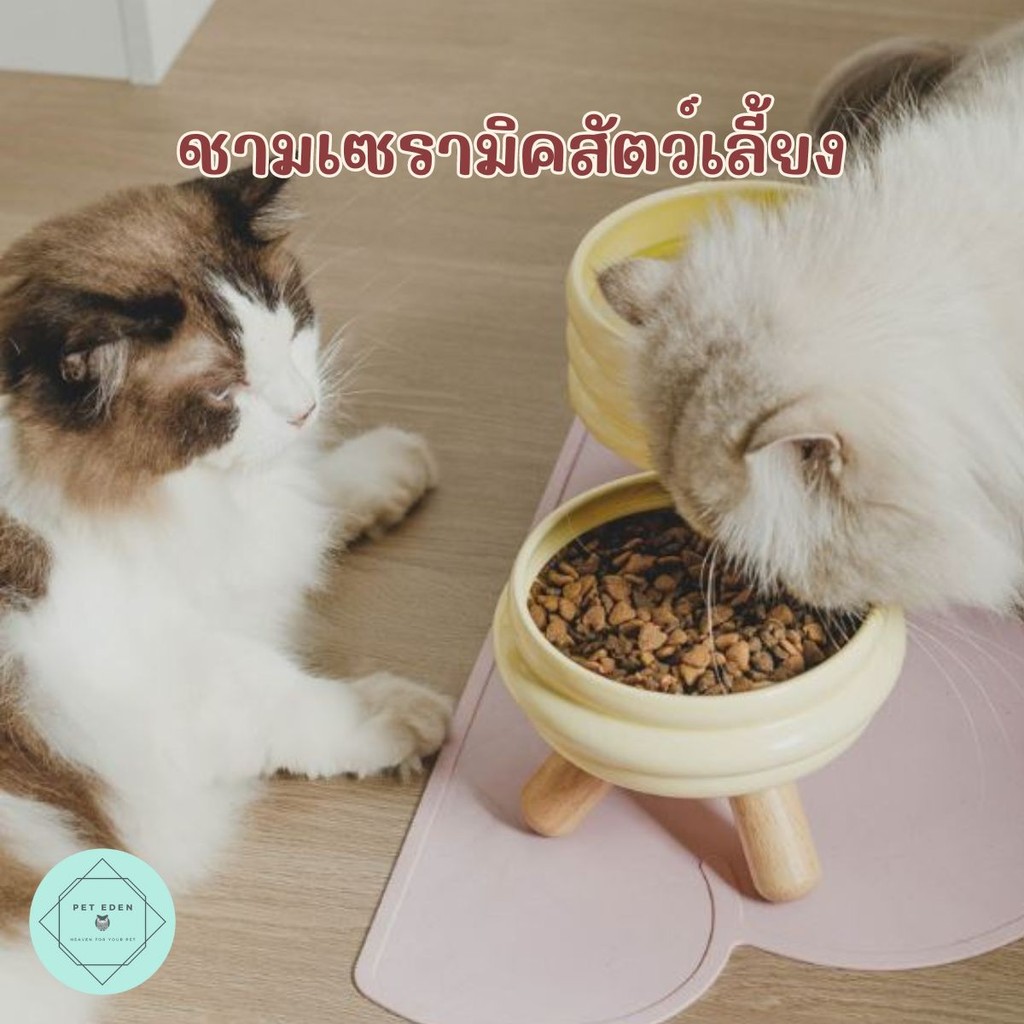ชามเซรามิคย่น minimal แมว จานอาหารแมว เซรามิก Bowl สัตว์เลี้ยง สุนัข หมาแมว ชามน้ำ