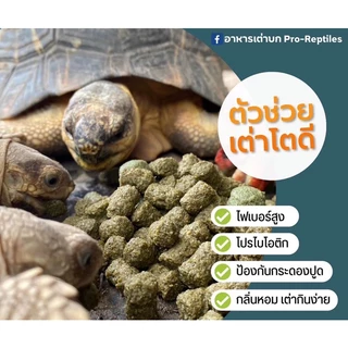 อาหารเต่าบก Pro-Reptiles กินง่าย มีไฟเบอร์สูง เหมาะสำหรับเต่าบกทุกสายพันธุ์ สูตรPremium สูตรOriginal