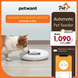 Petwant เครื่องให้อาหารสัตว์เลี้ยงอัตโนมัติแบบหมุน 6 ช่อง Automatic Pet feeder| Pet and More