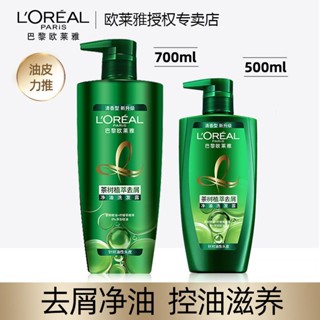 ☄▬แชมพู L Oreal Tea Tree Plant Extract แชมพูสูตรอ่อนโยนและบำรุงปราศจากซิลิโคน ป้องกันรังแค ป้องกันอาการคัน แชมพูนุ่ม