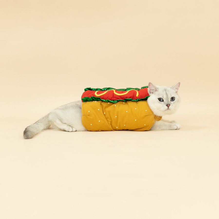 [สินค้าราคาพิเศษ] ชุดหมาแมวแฟนซี (Hotdog) ฮอทดอก ฮอทใจ | CLAWSET.BKK - รูปที่ 6