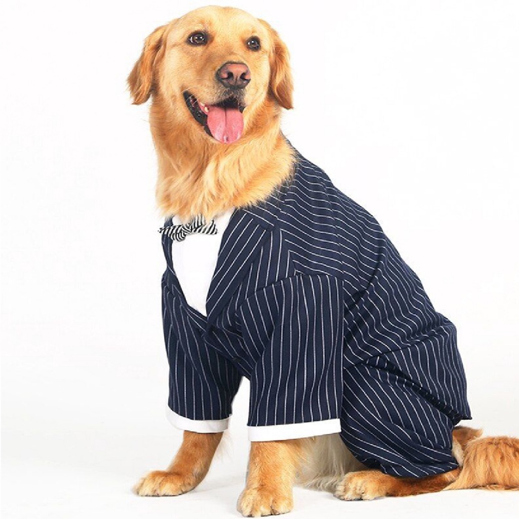 [สินค้าราคาพิเศษ] เสื้อหมาใหญ่ ชุดสูทสำหรับหมาใหญ่ ชุดสุภาพ | CLAWSET.BKK