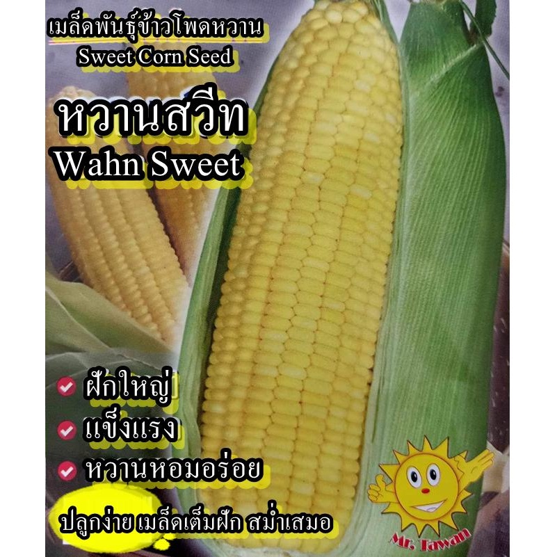 100+ เมล็ด เมล็ดข้าวโพดหวานสวีทสีเหลือง (ปลูกง่าย ฝักใหญ่ รสชาติหวานหอมอร่อย ต้นแข็งแรง)