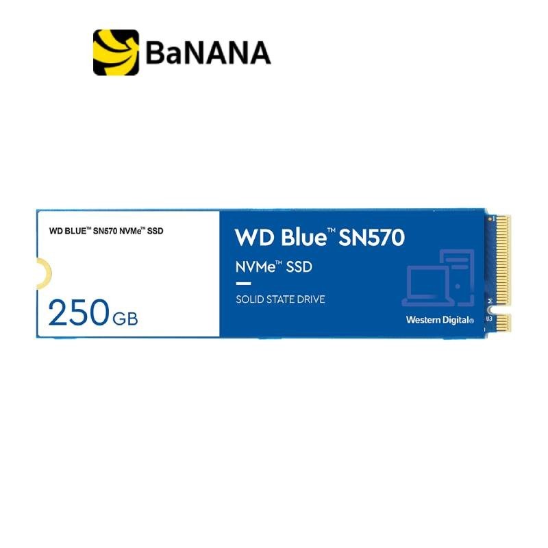 WD SSD 250GB-1TB M.2 PCle/NVme (SN570) การ์ดเอสเอสดี by Banana IT