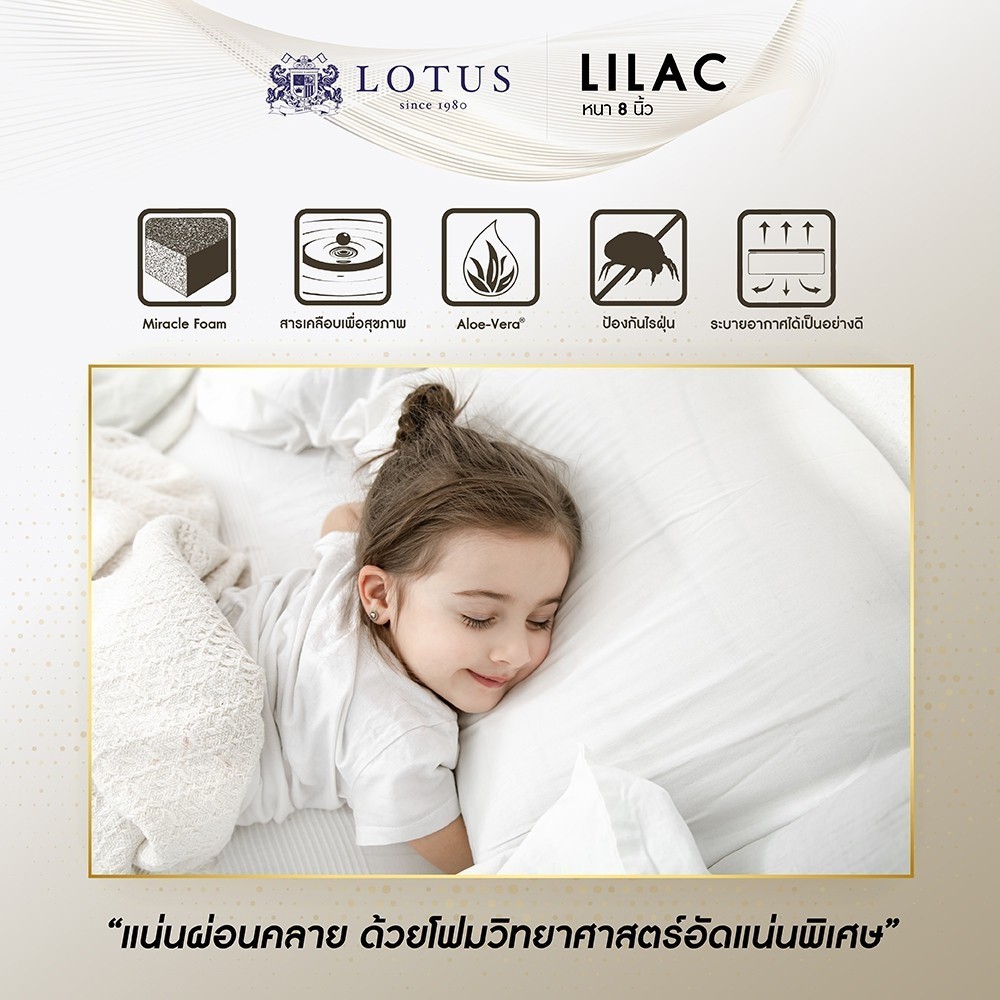 LOTUS ที่นอน (สเปคแน่นเป็นพิเศษ) รุ่น Lilac หนา 8 นิ้ว ฟรี หมอนหนุนสุขภาพกันไรฝุ่น ส่งฟรี