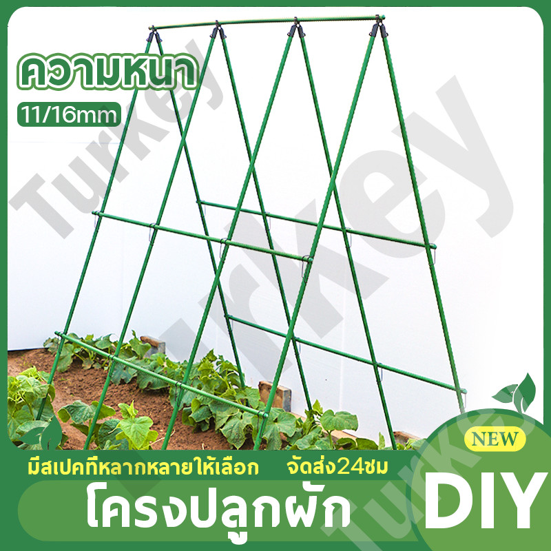 🌱พร้อมส่ง🌱 ไม้ค้ำต้นไม้ ความหนา11/16mm. โครงปลูกผัก มีสเปคที่หลากหลายให้เลือกแข็งแรง ทนทาน