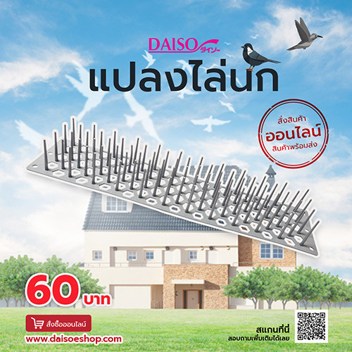 ไดโซ แปลงสำหรับวางป้องกันนก กันนก 49x11.2x6 ซม.