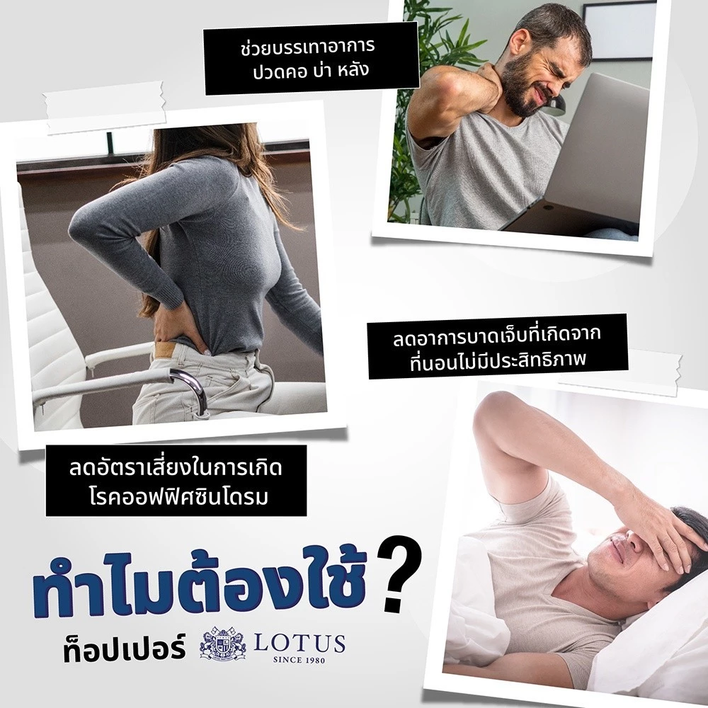 LOTUS ที่นอนยางพารา 100% นำเข้าจากเบลเยียม thumbnail 4
