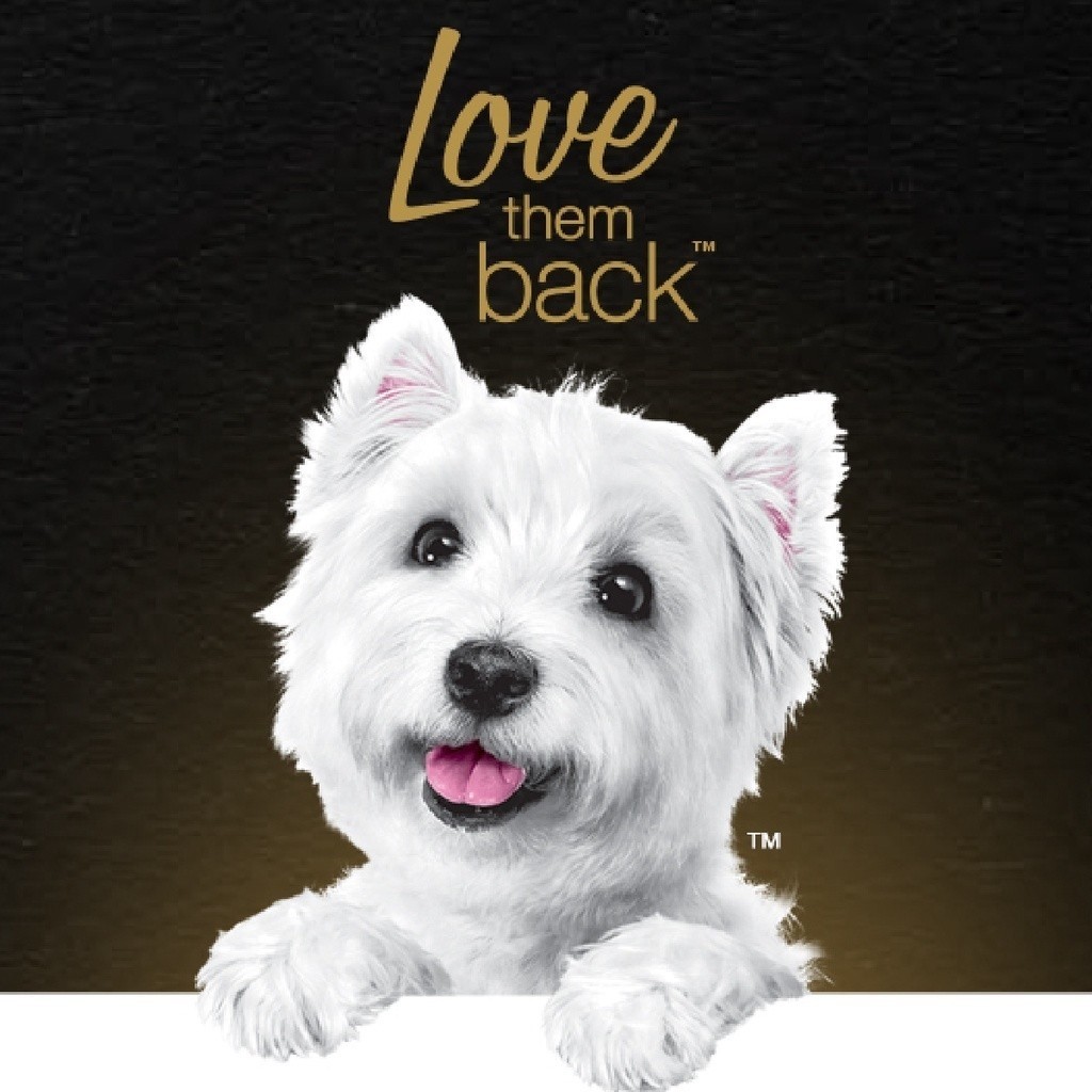 Cesar ซีซ่าร์ (12ถาด) อาหารเปียกแบบถาด รสเนื้อไก่และผักรวม ขนาด100g. - รูปที่ 4