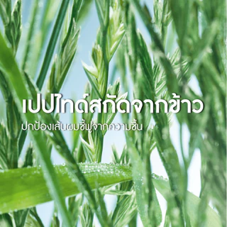 [แพ็คคู่] อีฟ โรเช Yves Rocher Smoothing Shampoo 300 มล. แชมพูลดผมชี้ฟู สมูธติ้ง - ดูแลปัญหาผมชี้ฟู