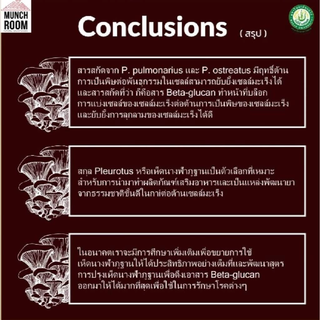 Munchroom เห็ดนางฟ้า โอ้โห โคตรจะเฮลตี้ เห็ดอบกรอบ ไม่ทอด ไม่แป้ง แคลต่ำ โซเดี่ยมต่ำ ของกินเล่น ของทานเล่น thumbnail 8
