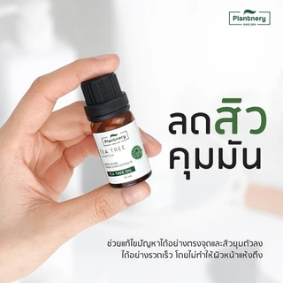 Plantnery Tea Tree Oil Acne Spot 10 ml แพลนท์เนอรี่ น้ำมันที ทรี เข้มข้น สำหรับ แต้มสิว