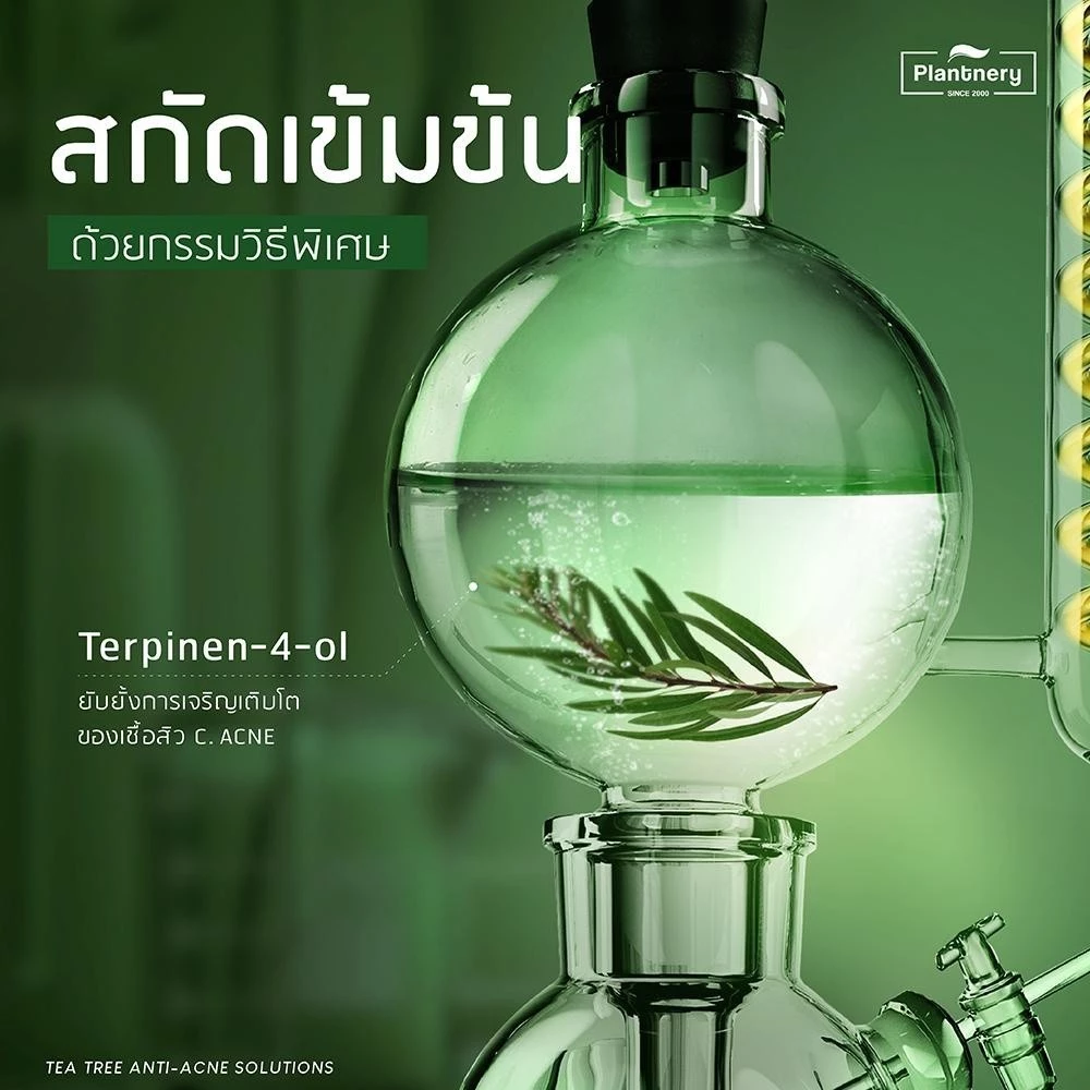 Plantnery Tea Tree Facial Cleanser 250 ml เจลล้างหน้า ที ทรี สำหรับผู้มีปัญหาสิว ผิวมัน thumbnail 4