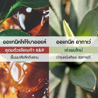 อีฟ โรเช Yves Rocher Repair Conditioner 200 มล. ครีมนวดแก้ผมเสีย - รีแพร์ถึงแกน คืนเส้นผมนุ่มลื่น มีชีวิตชีวา