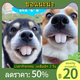 ♣✔☃Tiktok สัตว์เลี้ยงเดียวกัน Corgi สุนัขฟันปลอมของเล่นกระต่ายฟันประตูใหญ่ฟันเจ้าชู้ฟันปลอมชุดของเล่นตลกตลก