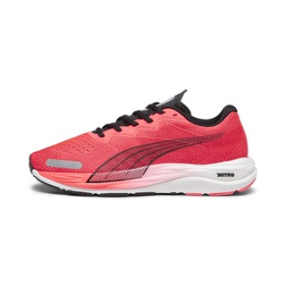 PUMA RUNNING - รองเท้าวิ่ง Velocity Nitro 2 Mens Running Shoes สีแดง - FTW - 19533716