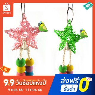 Pota ของเล่นเคี้ยว ทรงดาวห้าแฉก หลากสี สําหรับนกแก้ว