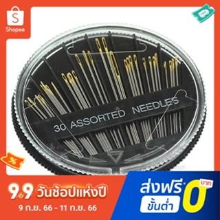 Pota 30Pcs Assorted Hand Sewing Needles Quilt Embroidery Mending Craft Sew Case