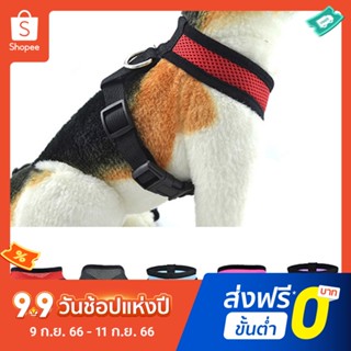 Pota Dog Puppy Walk Collar Soft Mesh Safety Strap Vest Adjustable Pet Control Harness