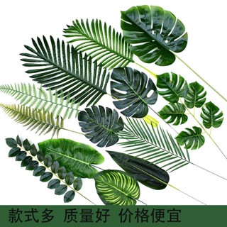 ✹﹉❏ใบไม้สีเขียวจำลองชิ้นเดียว ใบไม้ปลอม โรงเรียนอนุบาล Monstera deliciosa ตกแต่งงานแต่งงานที่เป็นมิตรกับสิ่งแวดล้อม ต้นไ