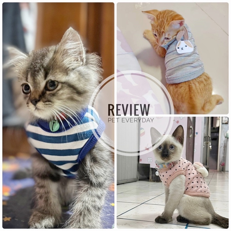 🔥ส่งฟรี 🇹🇭🔥เสื้อสัตว์เลี้ยงแรกเกิด ชุดลูกแมว สัตว์ขนาดเล็ก - รูปที่ 4