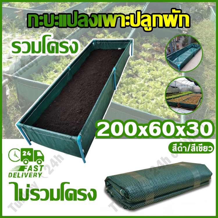 【พร้อมส่ง】กระบะปลูกผัก​ (พร้อมโครง/ไม่รวมโครง)​ขนาด​ 60x200x30 cm.​ กะบะเพาะปลูก แปลงผักเพาะปลูก