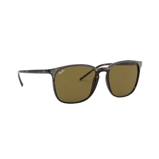 Ray-Ban - RB4387F 902/73 แว่นตากันแดด