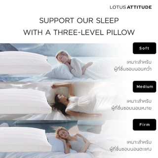LOTUS ATTITUDE หมอนหนุนรุ่น Cottonism Pillow เย็นสบาย ลดภูมิแพ้ รองรับสรีระคอ ส่งฟรี