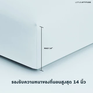 LOTUS ATTITUDE ชุดผ้าปู สัมผัสนุ่ม ดุจใยไหม ความละเอียด 490 เส้น รุ่น Basic ส่งฟรี