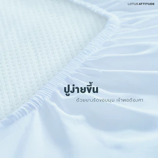 LOTUS ATTITUDE ชุดผ้าปู สัมผัสนุ่ม ดุจใยไหม ความละเอียด 490 เส้น รุ่น Basic ส่งฟรี