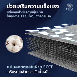 LOTUS รุ่น Angelus ที่นอนลดอาการปวดหลัง สัมผัสแน่นสบาย ส่งฟรี