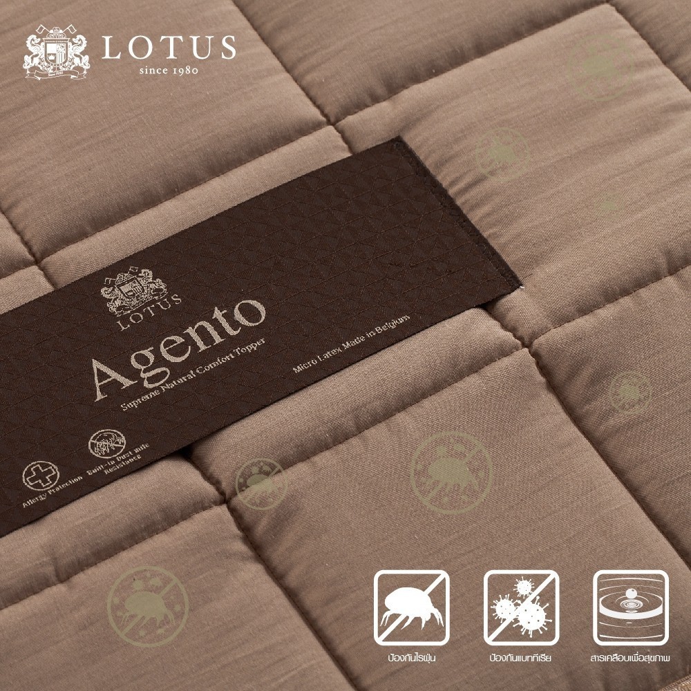 LOTUS ที่นอนยางพาราแท้ 100% รุ่น Agento ~ หนา 2 นิ้ว Latex Made In Belgium ส่งฟรี - รูปที่ 3